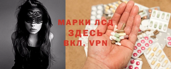 прущие грибы Алексеевка