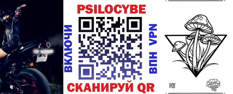Галлюциногенные грибы Psilocybe  Жуков 