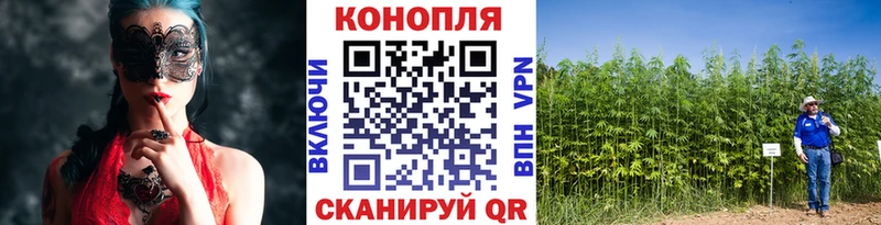 Марихуана SATIVA & INDICA Жуков